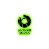Section8